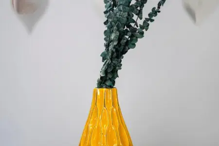 7b7af5d2 0892 4e w c D