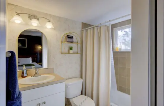 c7d08e46 5388 40 CowJI