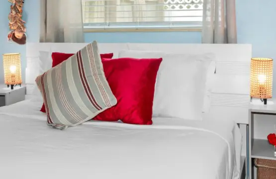 ef56fa08 0950 43 5cseG