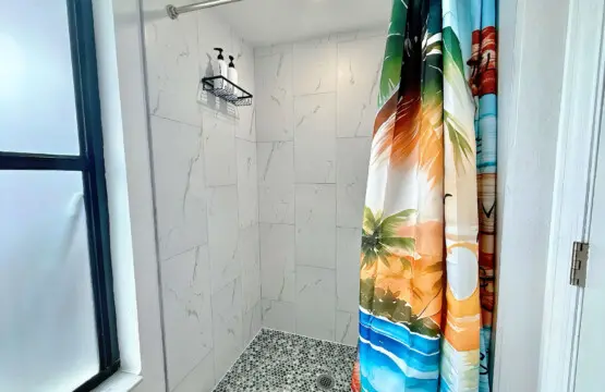 nz9norfbelsaixo2uwv3